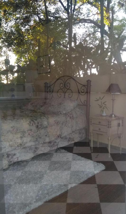 Buon Riposo! Villa Concepción del Uruguay Eksteriør billede